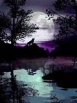 pic for Wolf Howling